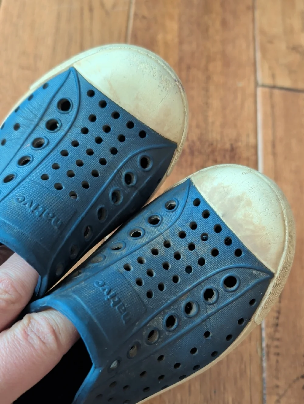 Native Jefferson Kids Navy Blue Slip-On Ventilated Sneakers with Cream Toe